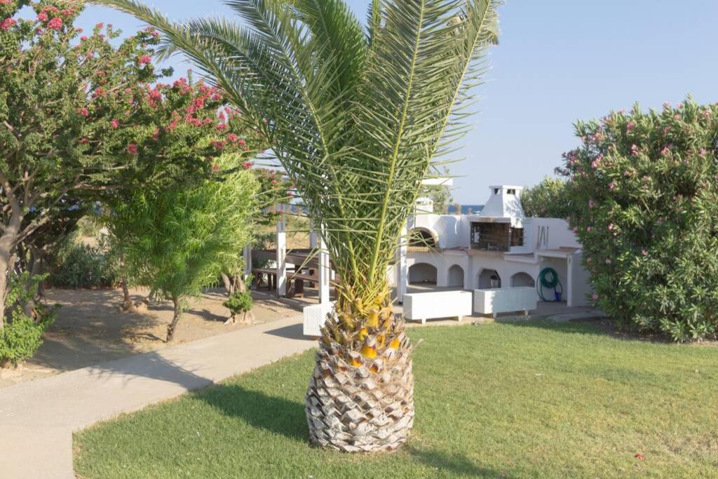 Renes Paradise Seahome - Afandou Beach, Rhodes Kolymbia Luaran gambar